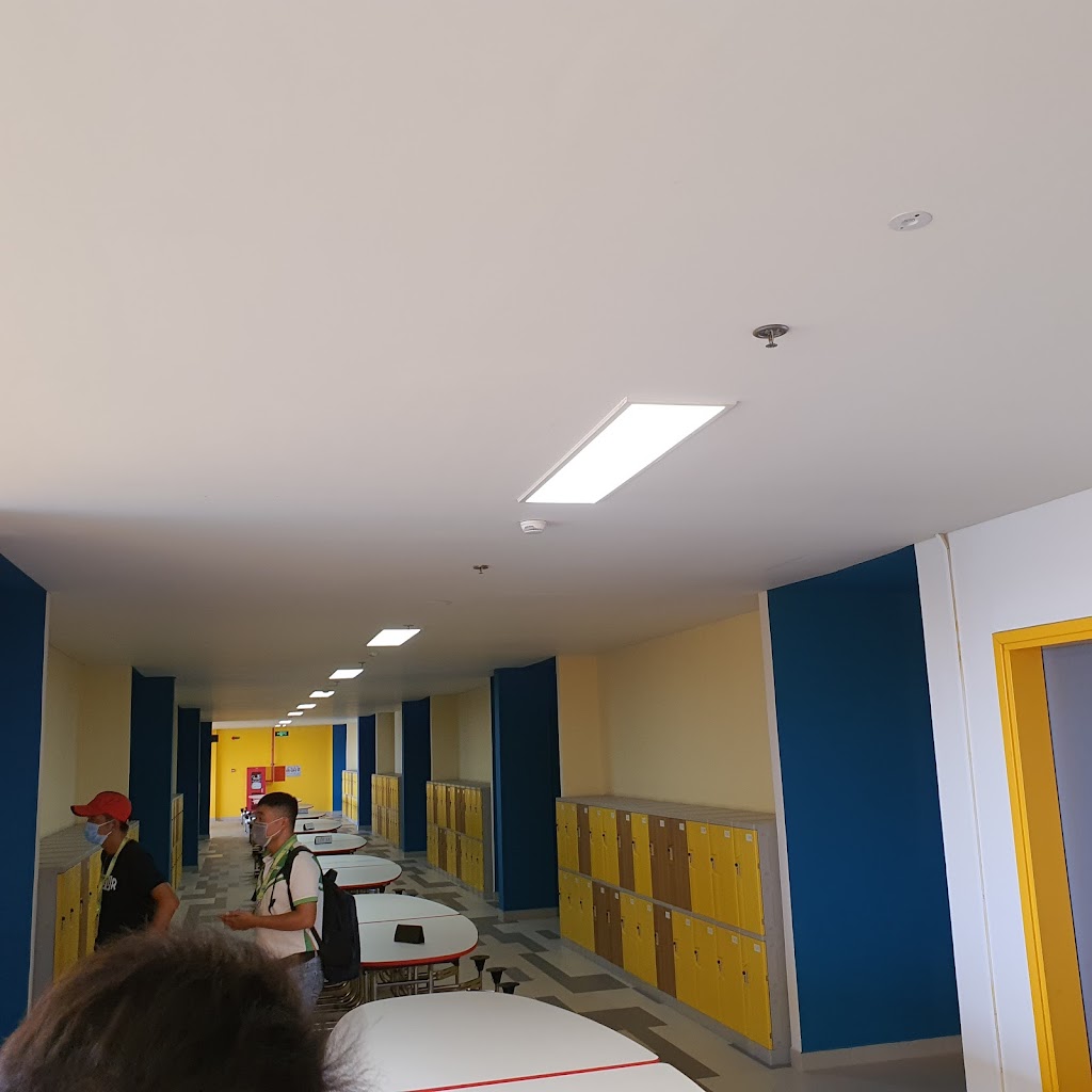 Sơn màu trường học