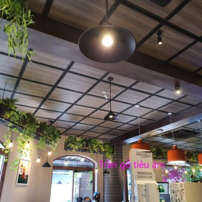 Trần gỗ tiêu âm