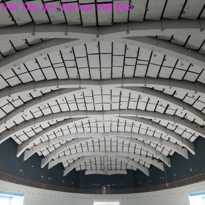 Tranthachcaotieuamvom